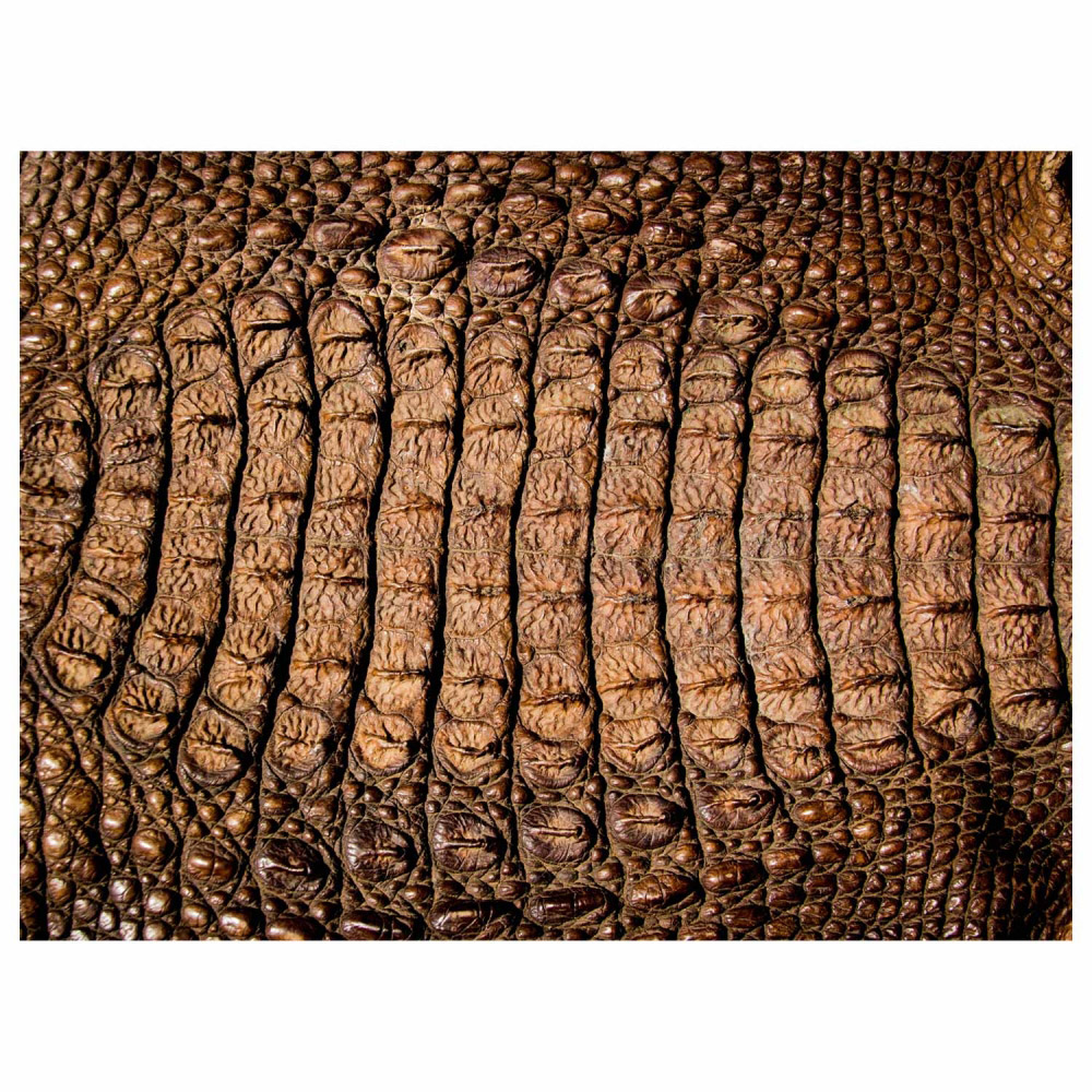 Tischset Vinyl Alligator Tischset Vinyl Alligator