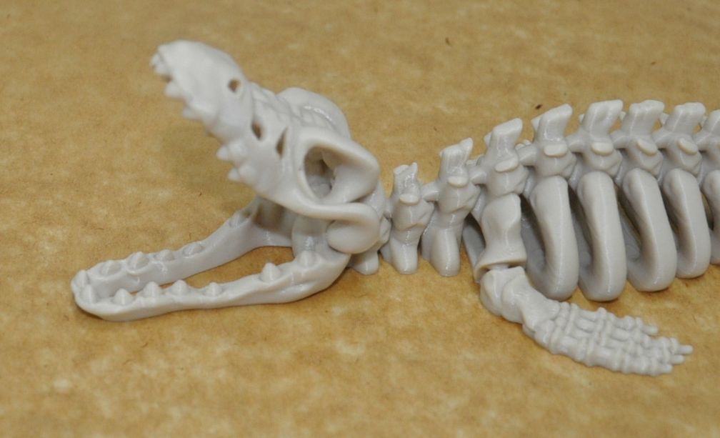 Flexi Mosasaurus Dinosaurier