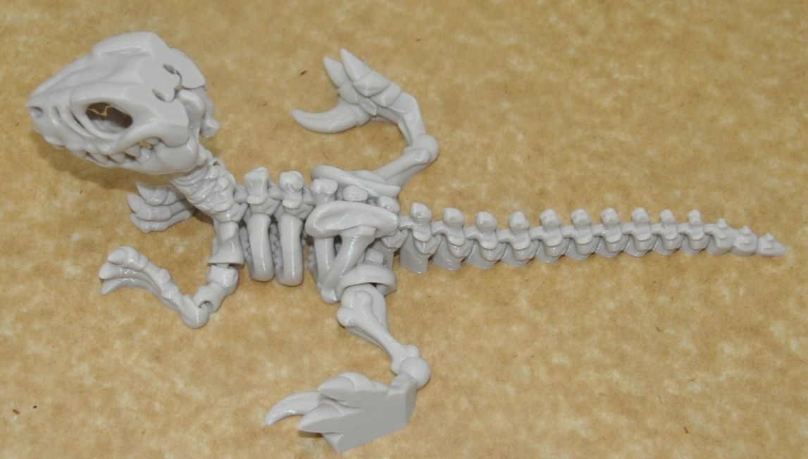Flexi Velociraptor Dinosaurier