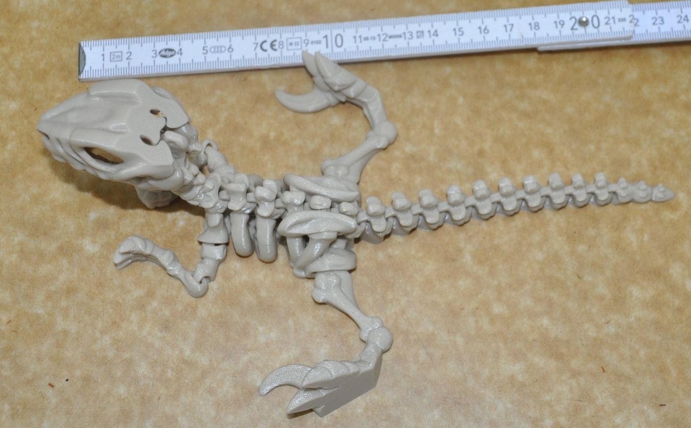 Flexi Velociraptor Dinosaurier